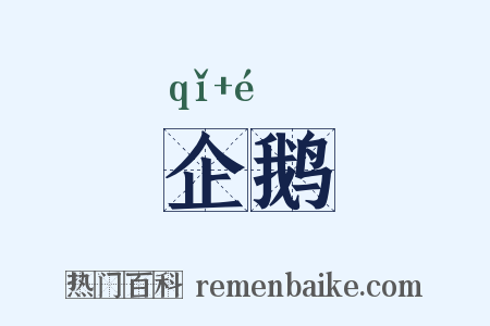 企鹅是什么意思的图片